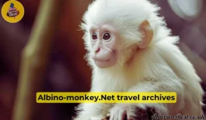 What-Is-Albino-Monkey.net-Travel-Archives.