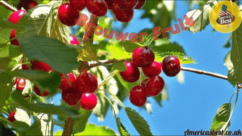 Brouwer Fruit: Fresh, Delicious Cherries Straight from the Orchard