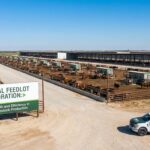 National Feedlot Corporation